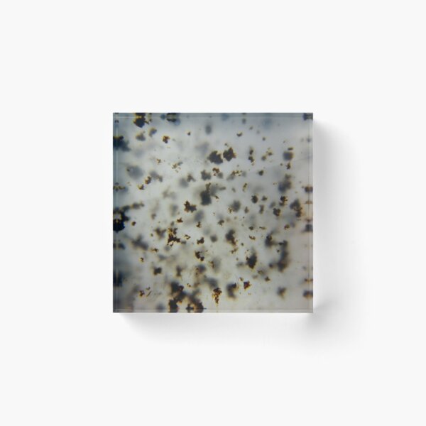 Item preview, Montana Moss Agate designed and sold by - Neuromind -.