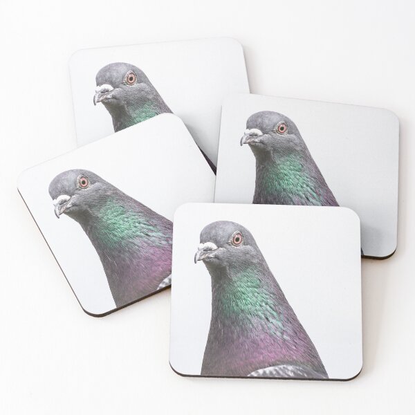 Item preview, Fabulous Pigeon designed and sold by Gary Turner.