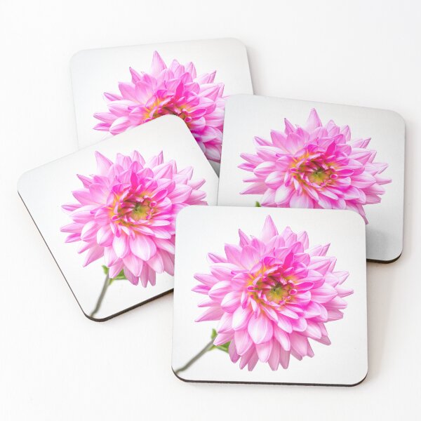 Item preview, Vibrant pink Dahlia designed and sold by Gary Turner.