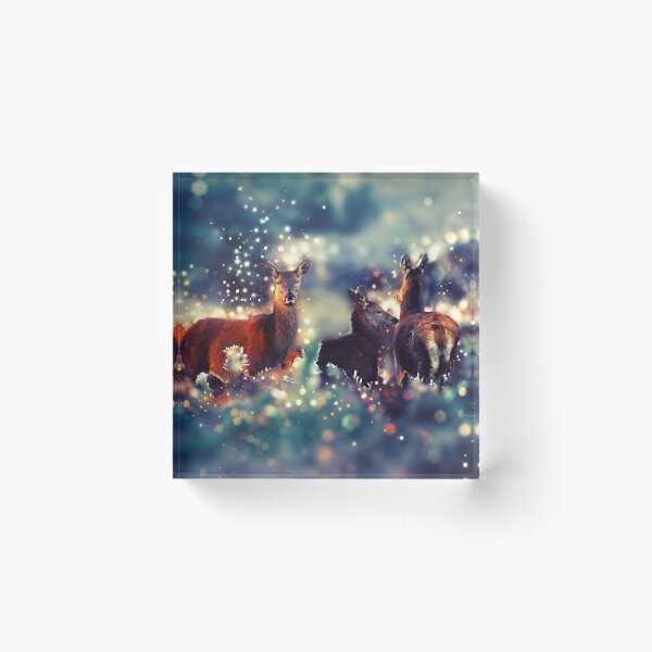 Item preview, Deer animals in winter - Rehe. Art, Kunst designed and sold by STYLESYNDIKAT.