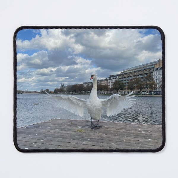 Item preview, Swan Angel • October 2022 • The Lakes, Copenhagen designed and sold by Mortinus.