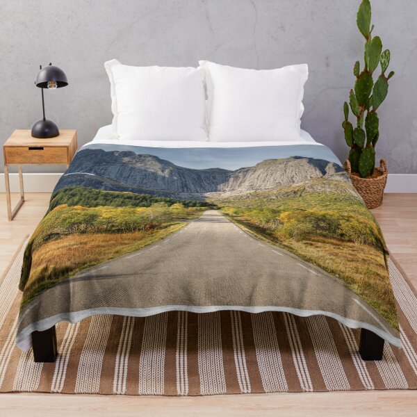 Item preview, Road to the Mountains Lofoten Norway designed and sold by PhotoArt by Joan Carroll.
