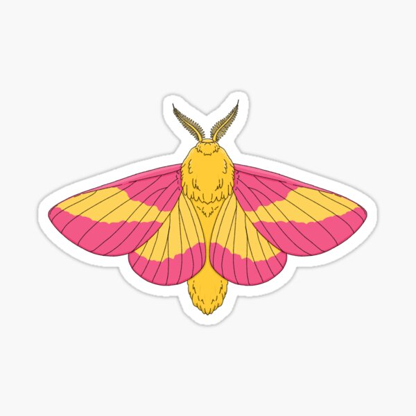 Rosy Maple Moth Waterproof Vinyl Sticker – Botanical Bright - Add a Little  Beauty to Your Everyday