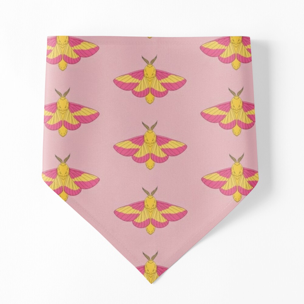 Rosy Maple Moth Art Board Print for Sale by ensdraws