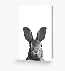 Hase Grußkarte