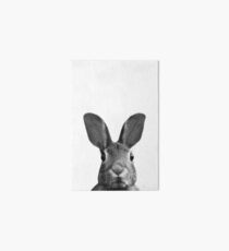 Hase Galeriedruck