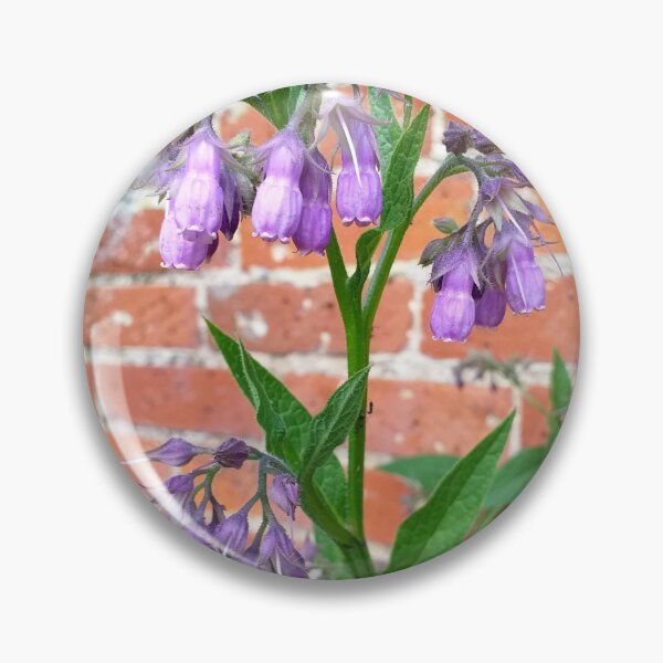 Item preview, Symphytum plant within walled garden designed and sold by Floral-Art.