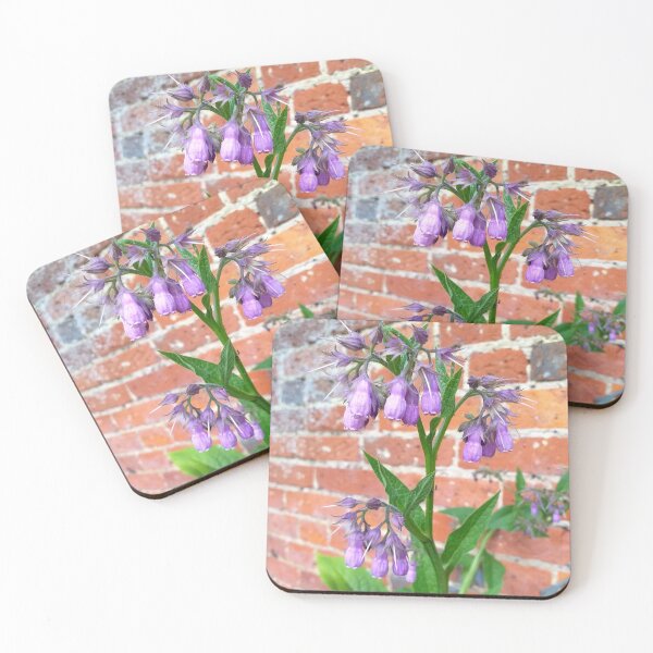 Item preview, Symphytum plant within walled garden designed and sold by Floral-Art.