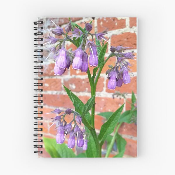 Item preview, Symphytum plant within walled garden designed and sold by Floral-Art.