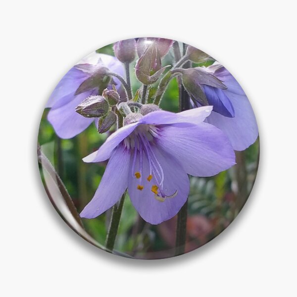Artikelvorschau, Polemonium-Blüten entworfen und verkauft von Floral-Art.