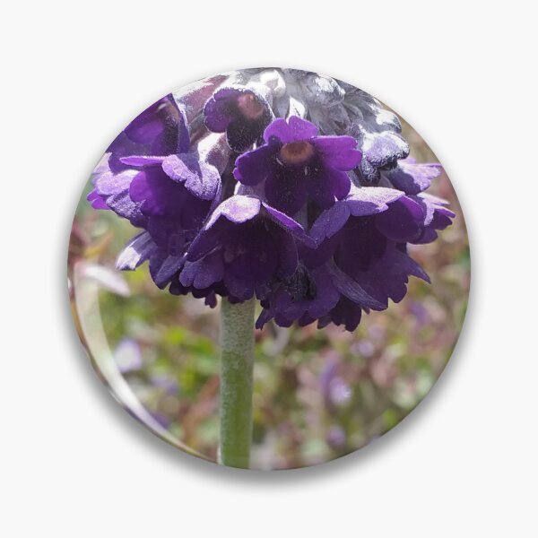 Item preview, Primula capitata designed and sold by Floral-Art.