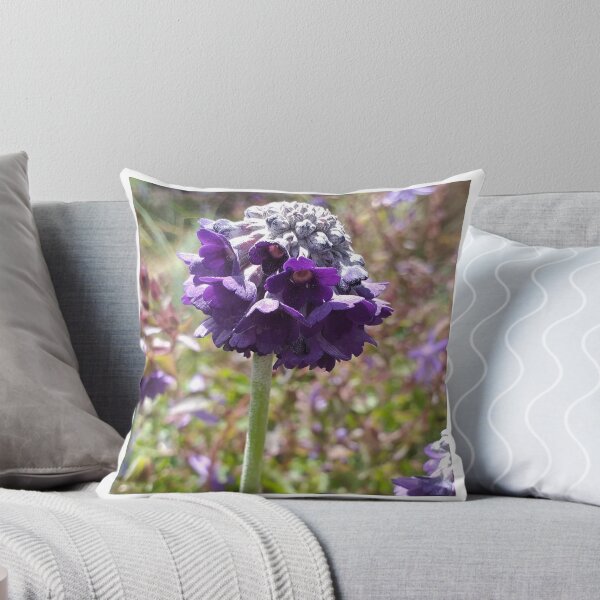 Item preview, Primula capitata designed and sold by Floral-Art.