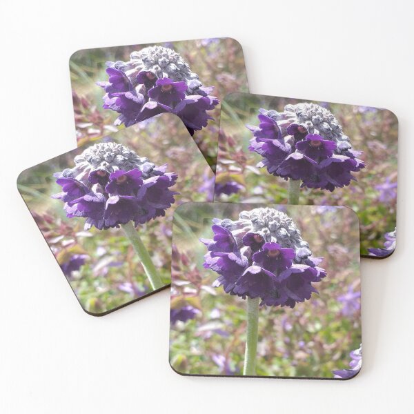 Item preview, Primula capitata designed and sold by Floral-Art.
