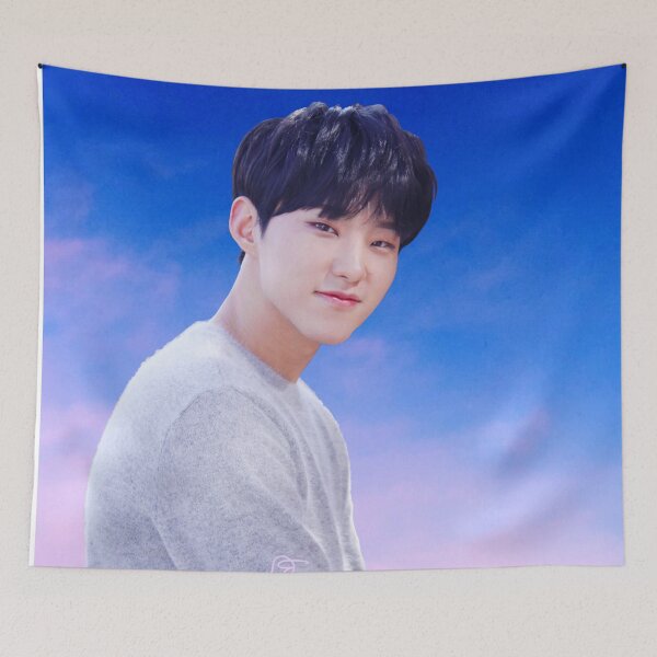 Item preview, A Seventeen Sky- Hoshi designed and sold by raeofgoldensun.