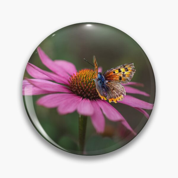 Item preview, Butterfly On Echinacea Flower designed and sold by Alisonchambers2.