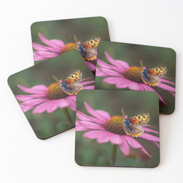 Item preview, Butterfly On Echinacea Flower designed and sold by Alisonchambers2.