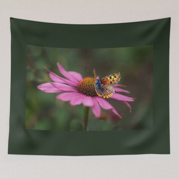 Item preview, Butterfly On Echinacea Flower designed and sold by Alisonchambers2.