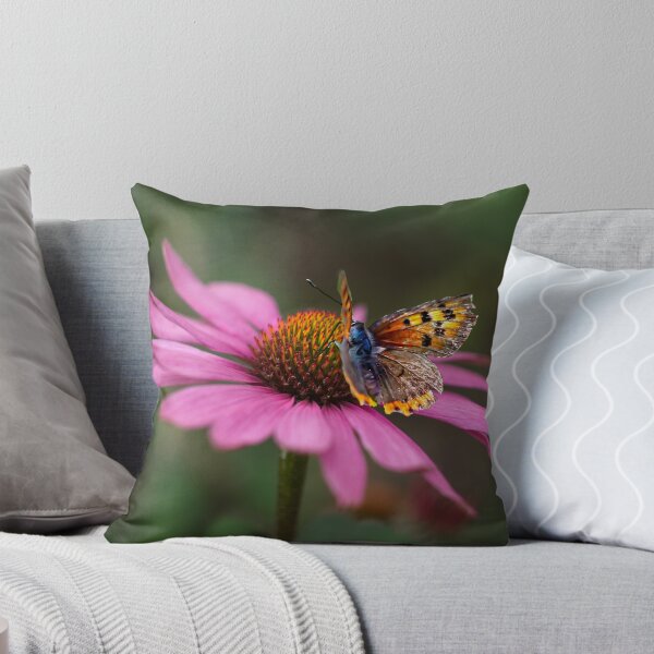 Item preview, Butterfly On Echinacea Flower designed and sold by Alisonchambers2.