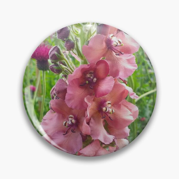 Item preview, Verbascum and Cirsium rivulare designed and sold by Floral-Art.