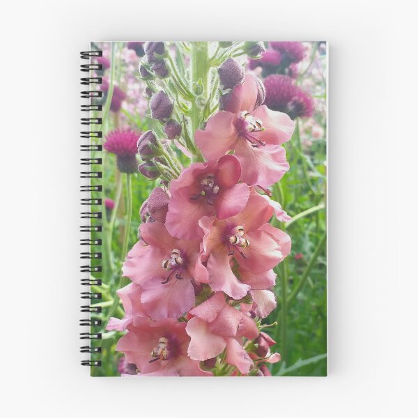 Item preview, Verbascum and Cirsium rivulare designed and sold by Floral-Art.