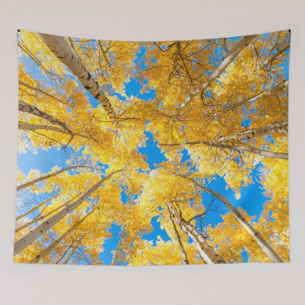 Item preview, golden aspen tree autumn designed and sold by pholange.