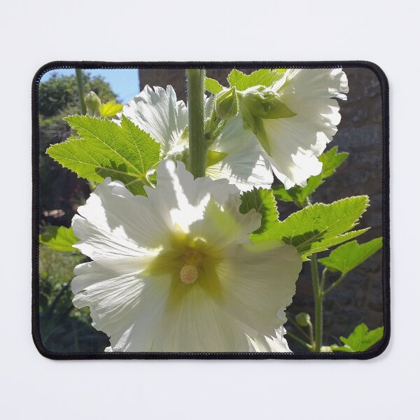 Item preview, White Hollyhocks designed and sold by Floral-Art.