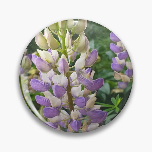 Item preview, Blue and White Lupins designed and sold by Floral-Art.