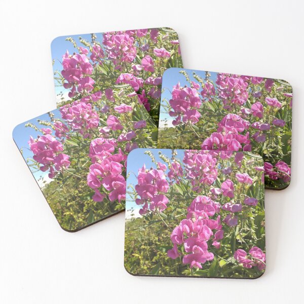 Item preview, Lathyrus latifolius designed and sold by Floral-Art.