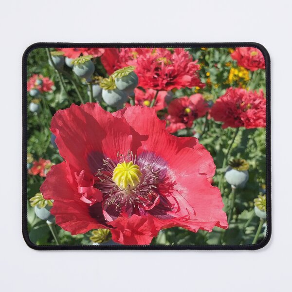 Item preview, Big Red Poppies designed and sold by Floral-Art.