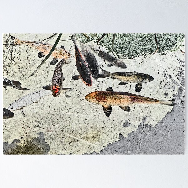 Item preview, Frogmeadow Koi #1 designed and sold by George Petrovsky.
