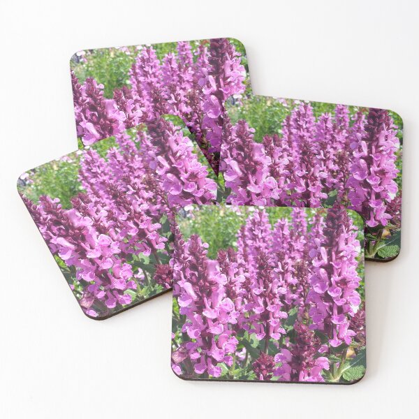 Artikelvorschau, Rosa Salvia nemerosa entworfen und verkauft von Floral-Art.