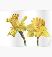 Golden Bonnets Poster