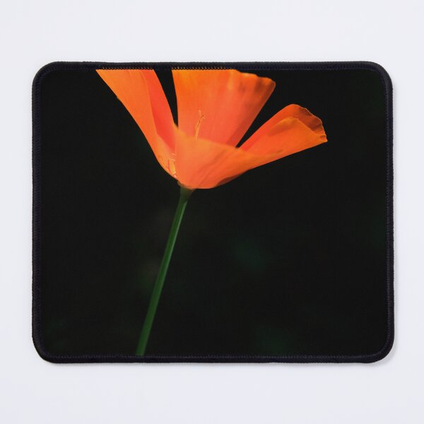 Item preview, Orange flower on black background designed and sold by olena2552.