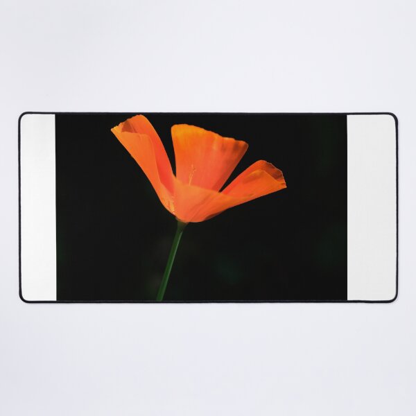 Item preview, Orange flower on black background designed and sold by olena2552.