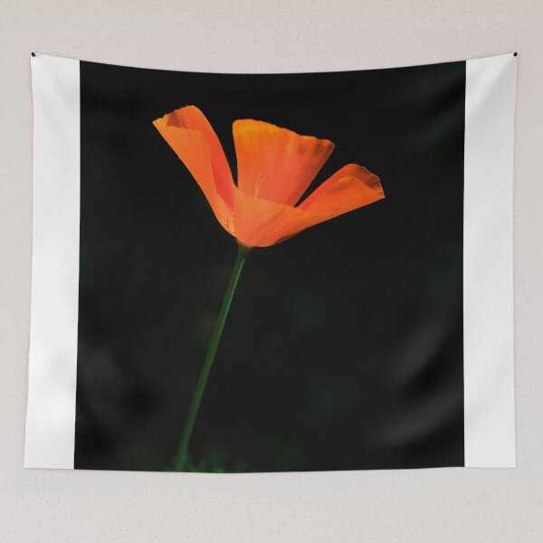 Item preview, Orange flower on black background designed and sold by olena2552.