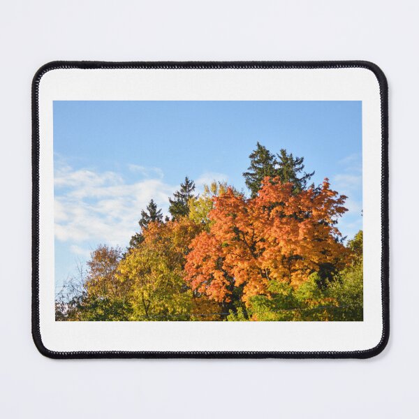 Item preview, Fall colors changing. designed and sold by Rjsmommy23.