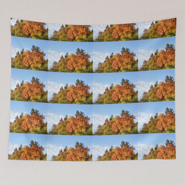 Item preview, Fall colors changing. designed and sold by Rjsmommy23.