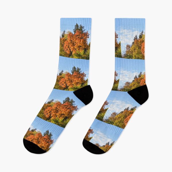 Item preview, Fall colors changing. designed and sold by Rjsmommy23.