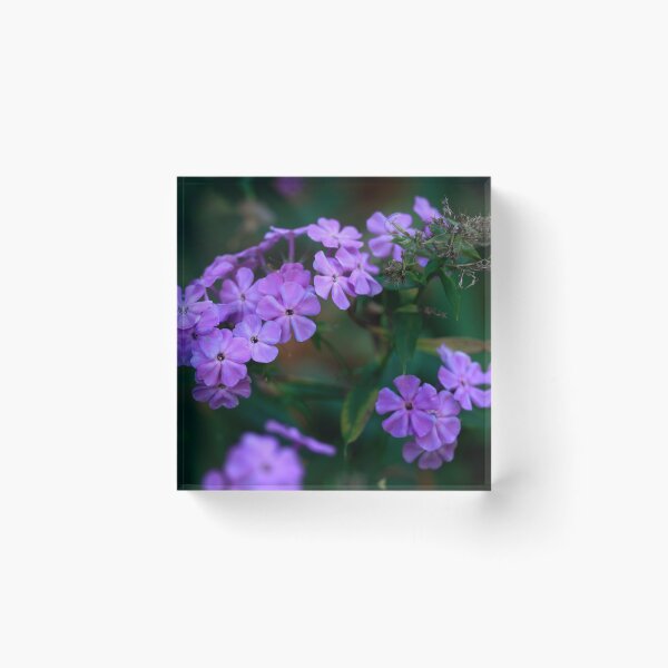 Item preview, Purple flowers on nature background designed and sold by olena2552.