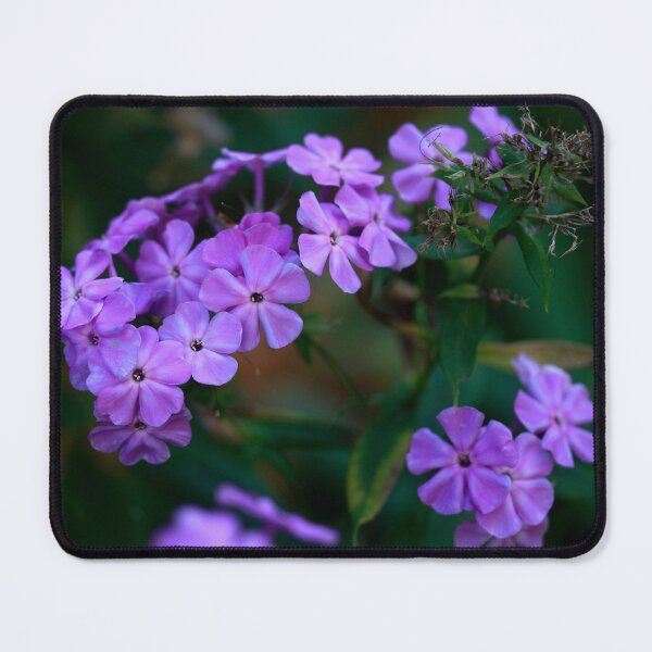 Item preview, Purple flowers on nature background designed and sold by olena2552.