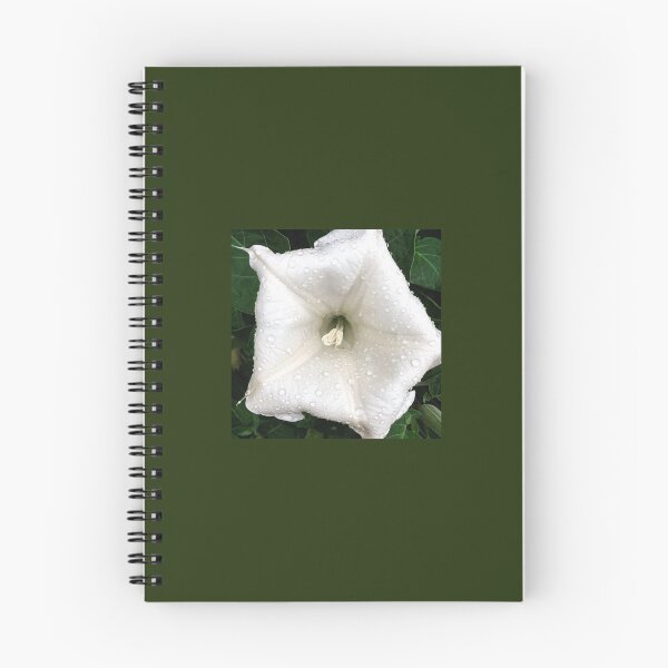 Item preview, Morning Glory All White designed and sold by lifepatterns.