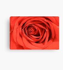 Saturate My Soul Canvas Print
