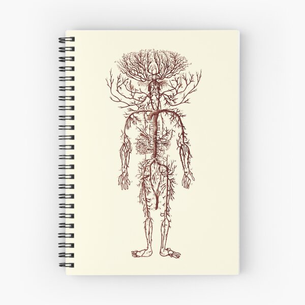 Item preview, Blood System, Encyclopedia 1762 designed and sold by 3-Petits-Lapins.