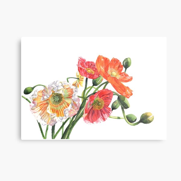 Twisted Sisters Metal Print