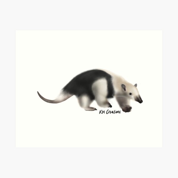 Explore the Best Tamandua Art