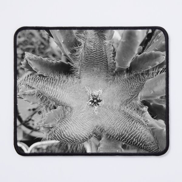 Item preview, death flower designed and sold by Hatiwulfj.
