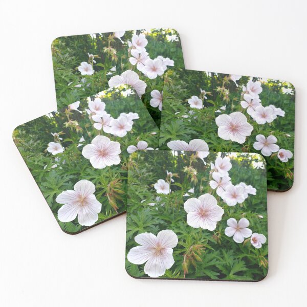 Item preview, Geranium clarkei Kashmir White  designed and sold by Floral-Art.