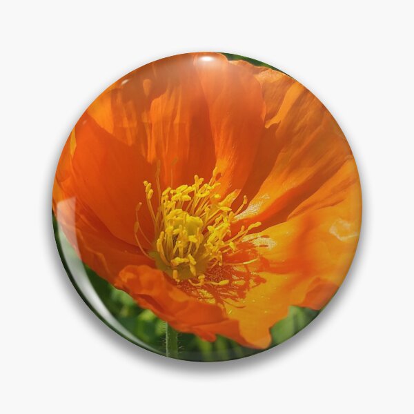 Item preview, Orange Icelandic Poppy (Papaver nudicaule) designed and sold by Floral-Art.