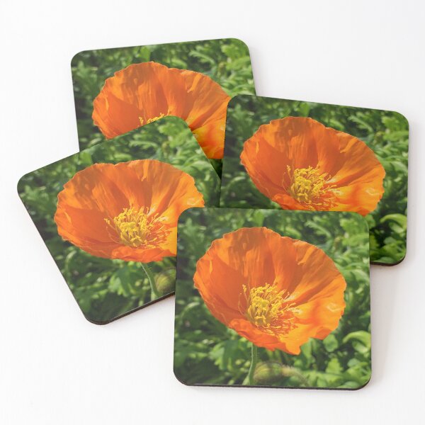 Item preview, Orange Icelandic Poppy (Papaver nudicaule) designed and sold by Floral-Art.