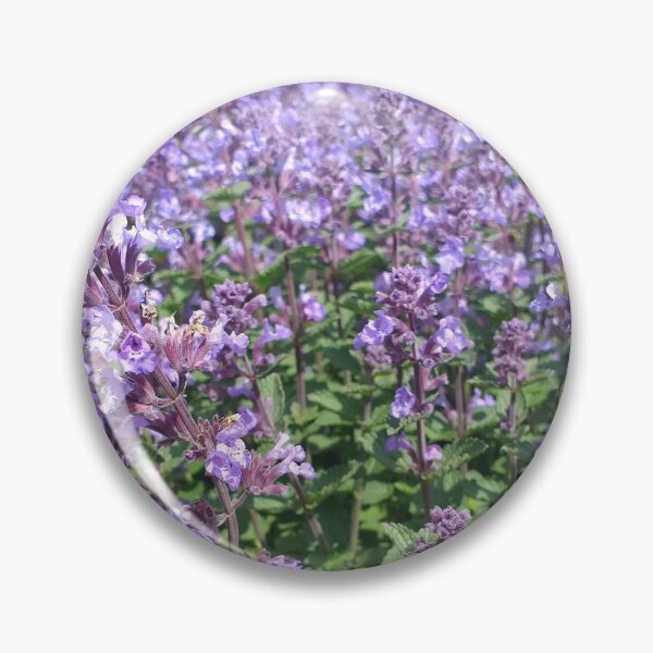Item preview, Blue Nepeta fassenii designed and sold by Floral-Art.